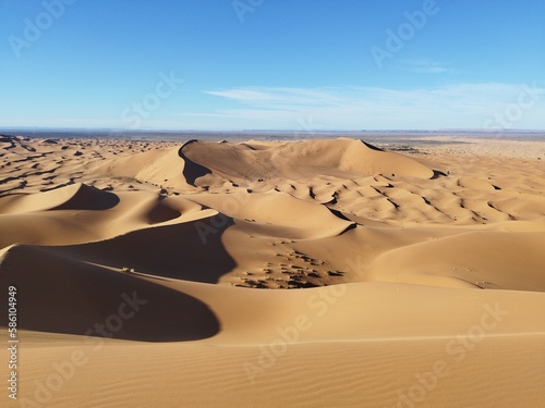 sahara