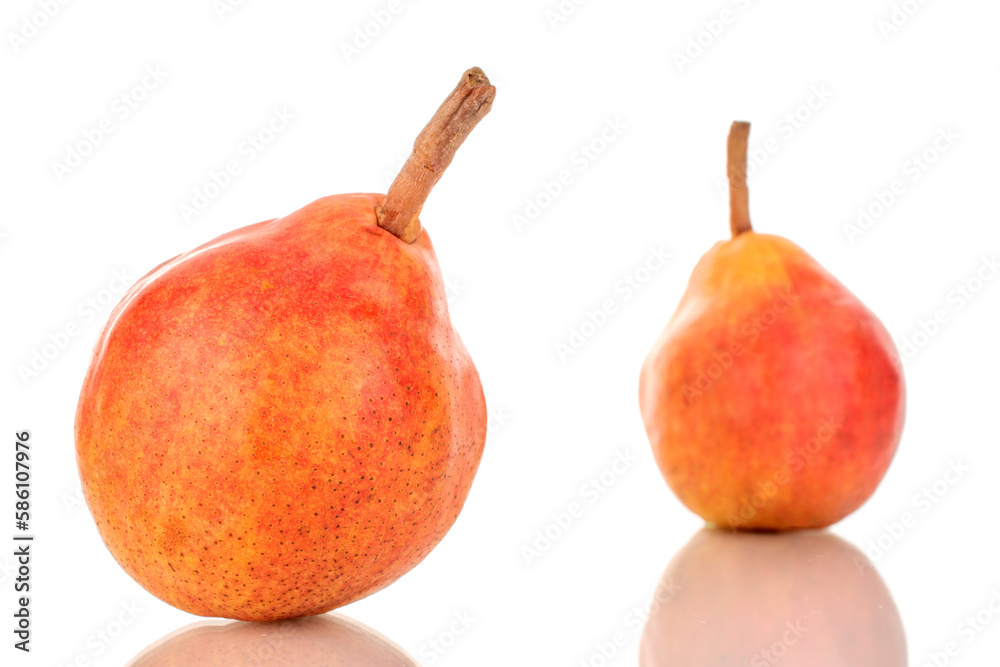 Two organic Bartlett pears, macro, isolated on white background. Two organic Bartlett pears, macro, isolated on white background.