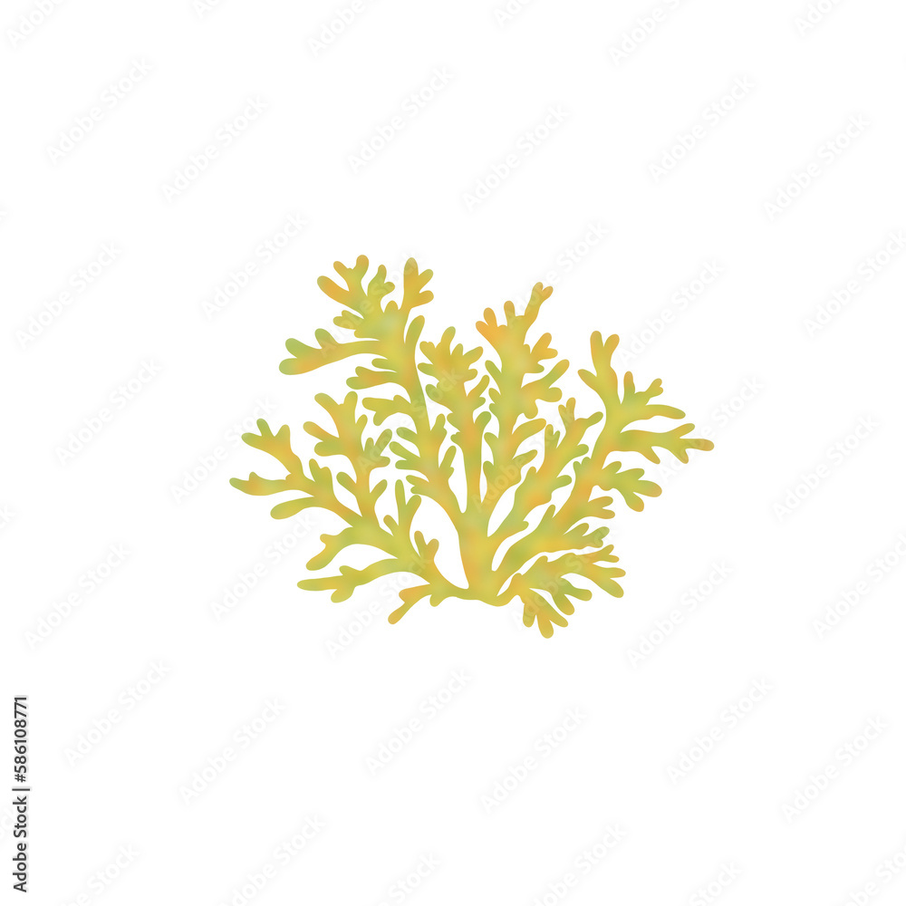 Coral Reef Illustration Coral Reef Illustration