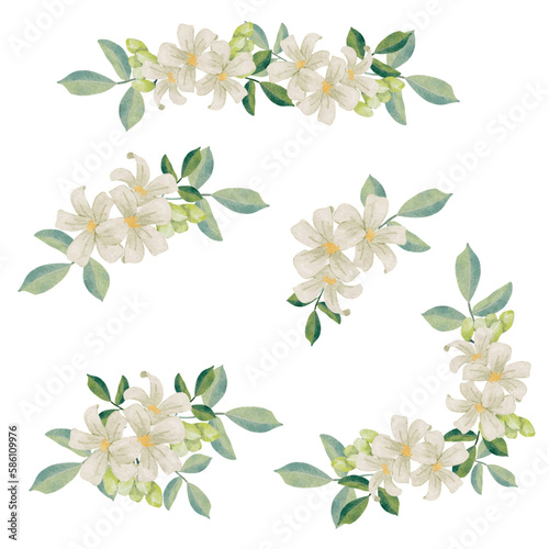 watercolor white murraya orange jasmine flower bouquet wreath frame