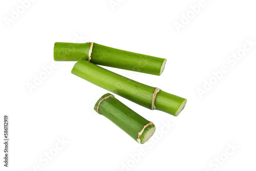 Bamboo shoot isolated on transparent background. Green bamboo stems for design.