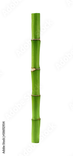 Bamboo shoot isolated on transparent background. Green bamboo stem for design.