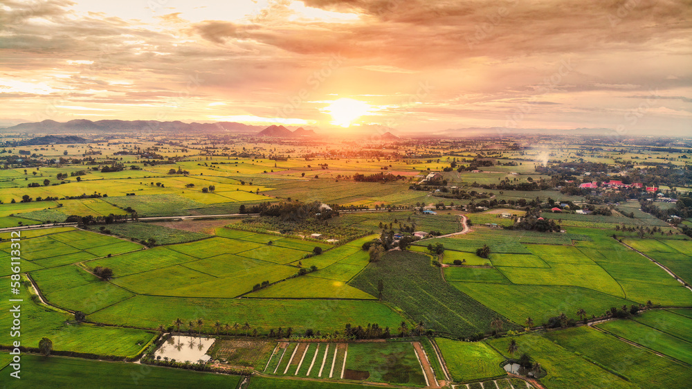 Sunset over lush green paddy field, farming cultivation in agricultural land at countryside