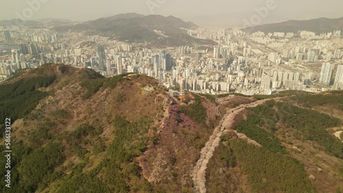 황령산 진달래