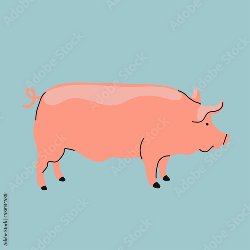 Pink pig vector illustration, cute big domestic animal. Hand drawn vector illustration