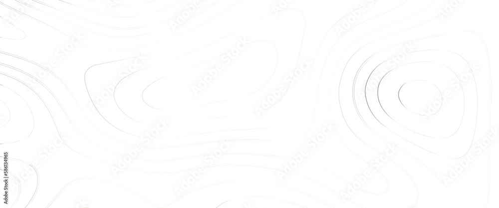 Abstract topographic contours map, topographic background and texture, monochrome, topographic map, geographic mountain relief, abstract lines background, Contour maps, Vector illustration. Abstract topographic contours map, topographic background and texture, monochrome, topographic map, geographic mountain relief, abstract lines background, Contour maps, Vector illustration.