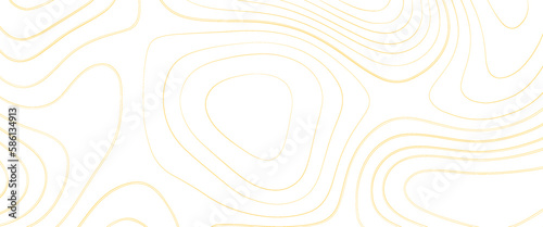 Topographic line contour map background, Topographic map and landscape terrain texture grid, Abstract lines background, fish fillet texture, salmon fillet texture, fish pattern. paper texture . 