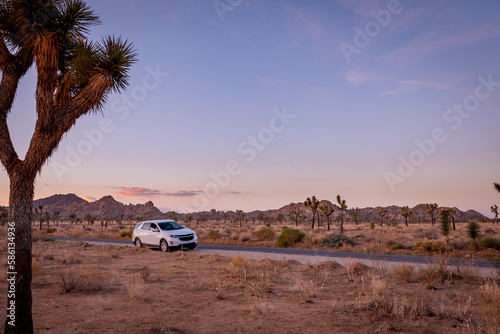 A Scenic Drive. A Mesmerizing Sunset Drive on a Road in Joshua Tree National Park