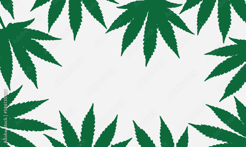 Green cannabis leaves on white background. Frame with Cannabis leaves.