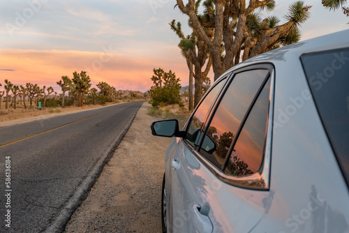 A Desert Drive. A Tranquil Road Trip through Joshua Tree National Park at Sunset.
