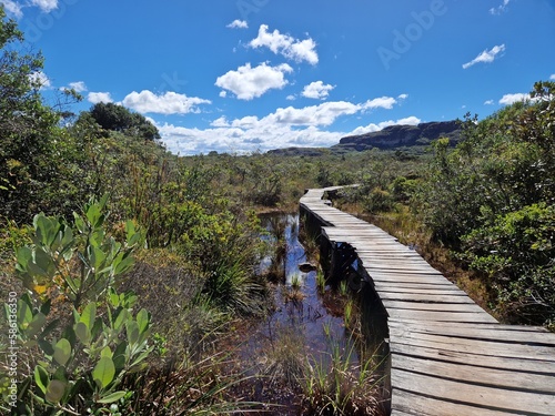 Hiking trail on a boardwalk in Chapada Diamantina National Park in Brazil photo