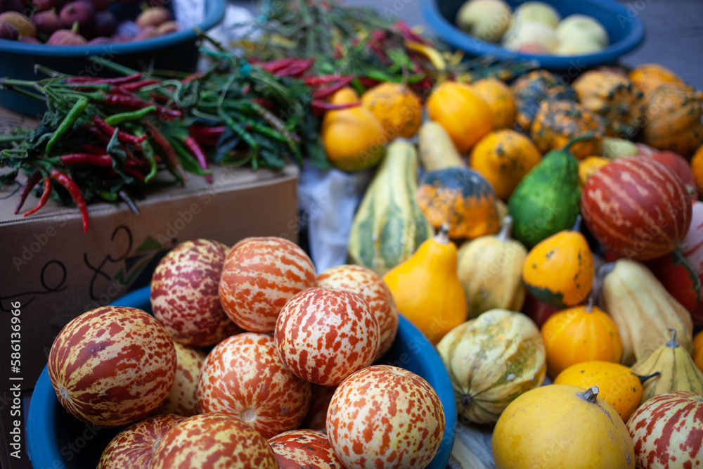 Melons, pumpkins, hot pepper and peaches on a farmers market. Queen Anne's Pocket Melon. Still life Melons, pumpkins, hot pepper and peaches on a farmers market. Queen Anne's Pocket Melon. Still life