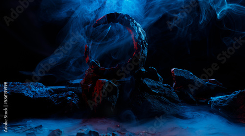 Round mystical portal. Rocks in smoke on a dark background. Panoramic view of the abstract fog. Mockup for your logo.