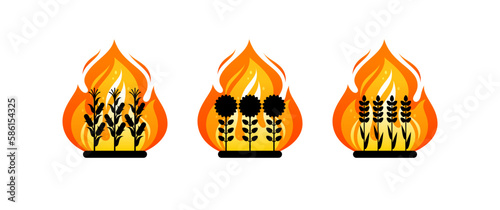 Agriculture fields, farm lands in fire. Concept of wildfire in countryside, burning plants on plantation or garden. Vector cartoon icons of flame with black silhouettes of wheat, sunflowers and corn