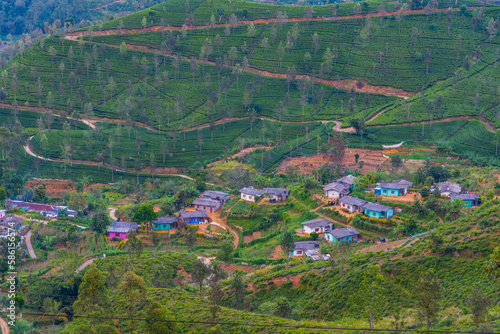 Panorama view of Haputale at Sri Lanka photo