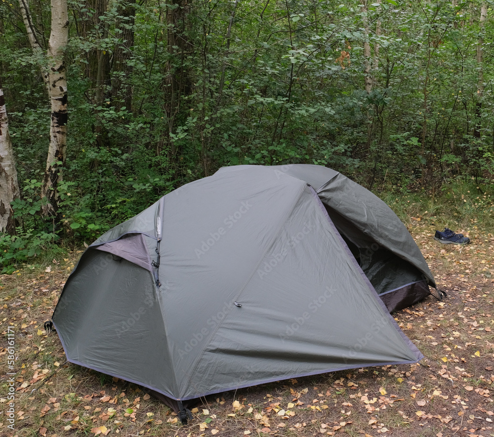 Tent pitched on a clearing in a forest