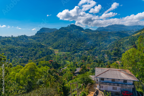 Foto Panorama view of Uva Halpewatte tea estate at Sri Lanka