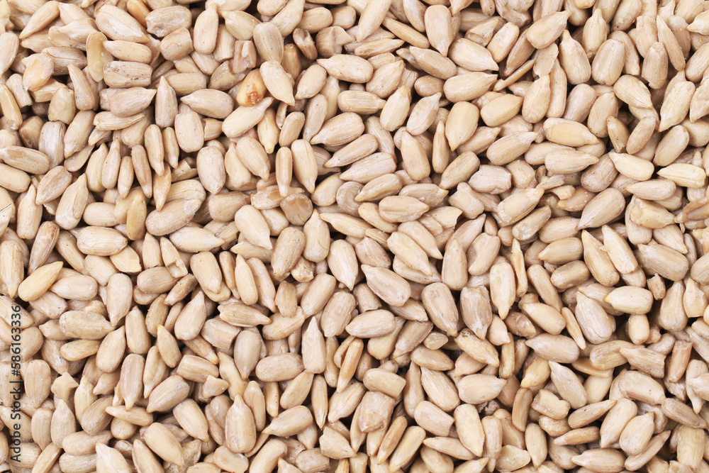 healthy sunflower seeds as nice background healthy sunflower seeds as nice background