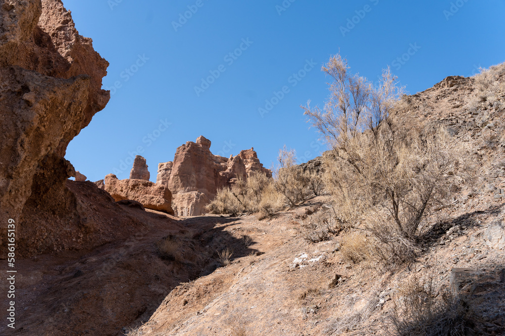 Fototapeta premium Grand Canyon in the steppes of Central Asia. Charyn Canyon