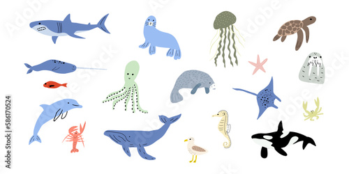 Sea animals. Cute aquatic fish  turtle  whale  narwhal  dolphin  octopus  starfish  crab  jellyfish  seal and other. Kids vector illustration.