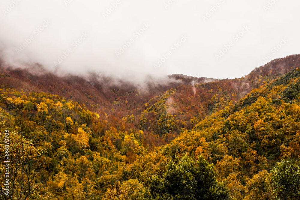 Obraz premium Autumn rainy day in La Garrotxa, Spain