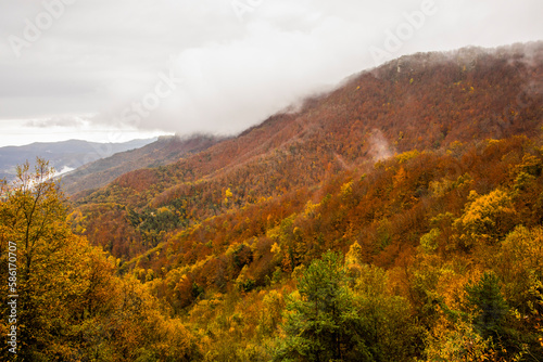 Autumn rainy day in La Garrotxa, Spain © Alberto Gonzalez 