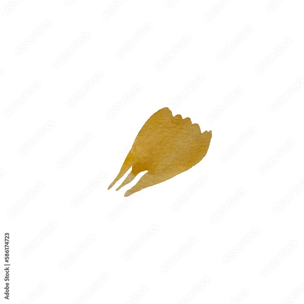 Petal beige flower brown peony stroke watercolor Petal beige flower brown peony stroke watercolor