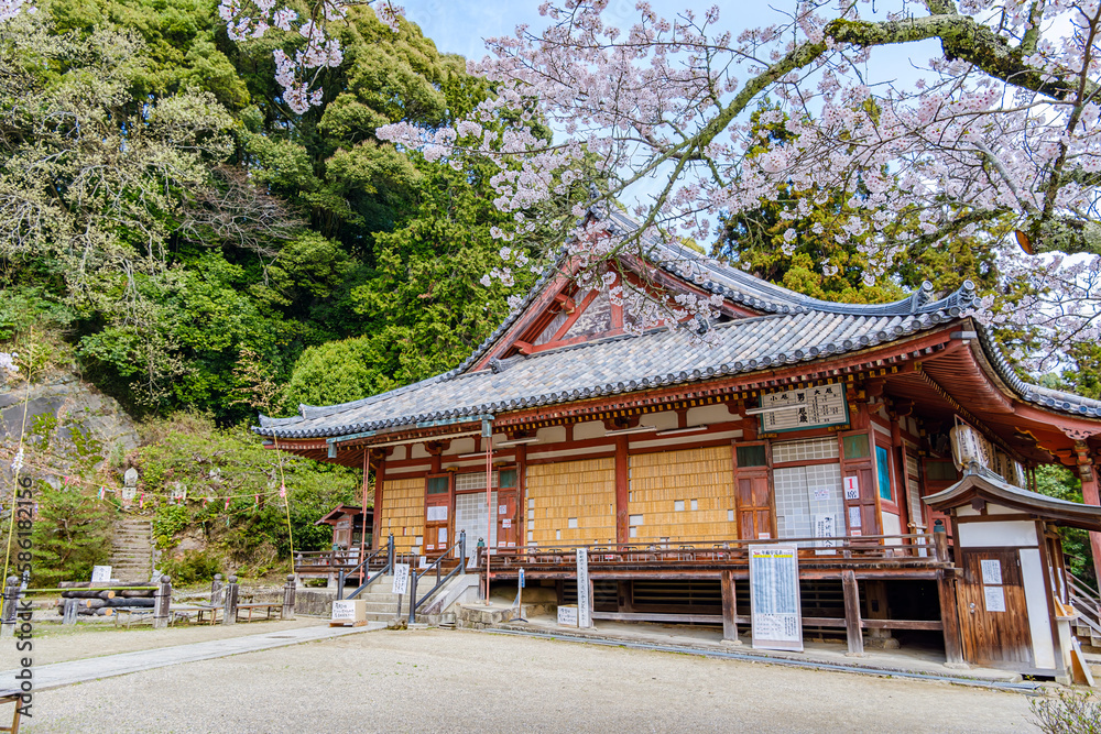 【奈良県】大和郡山市 松尾寺  (2023/03/27撮影)