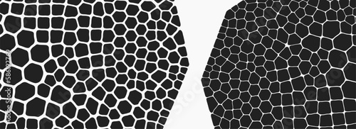 Abstract science background with fantasy cells. Cross section or microscopic view. Biology. Organic texture. 3d technology style with particle. Vector illustration for design.