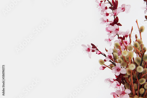 Festive Easter greeting bouquet of pink cherry and willow branches on a white background