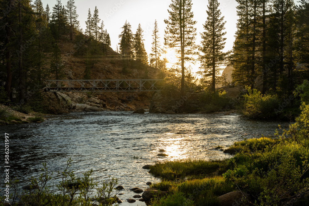 Light Sparkles on the River Surface in Yosemite