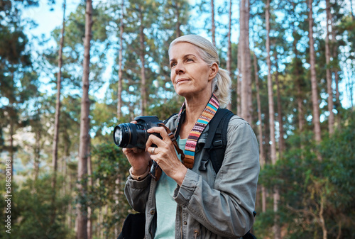Camera, photographer and elderly woman taking pictures while hiking in a forest, calm and content. Nature, photography and senior lady enjoying retirement, relax and hobby while on vacation outdoors