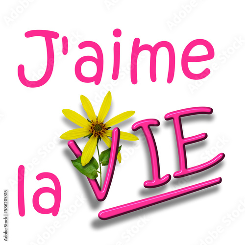 Texte en français avec la phrase J’aime la vie. Lettres surdimensionnées de couleur rose avec fleur jaune.