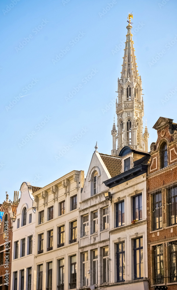 17th century houses on Brussels' Grand Place with the town hall tower in the background.