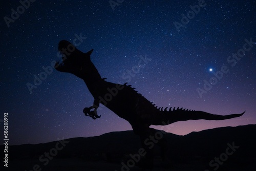 Beautiful Galaxy Night Sky Illustration Dinosaur  © Hafsa
