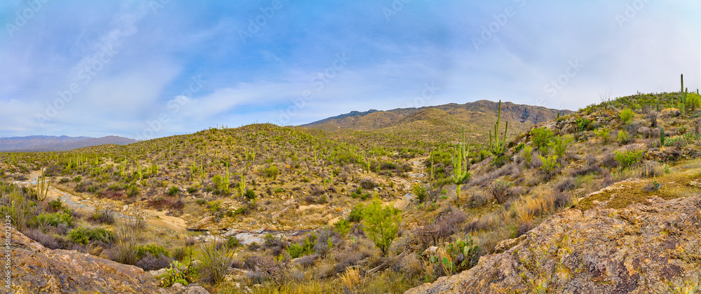 Panoramic view of Santa Catalina Mountains at Saguaro National Park (East), Tucson Arizona.