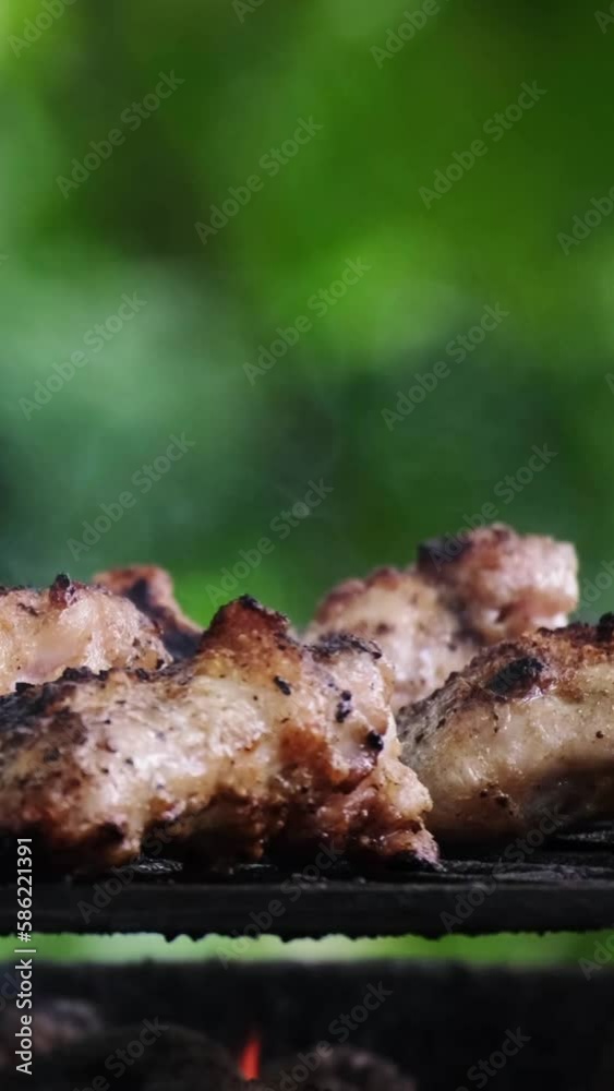 Closeup of a delicious, fresh, almost ready chicken pieces frying on charcoal grill. Outdoor barbecue party, tasty and healthy food concept. Beautiful grilled chicken wings and thighs on a black grid