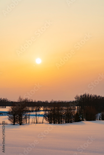 【北海道】知床斜里の雪原の夕景 © k_river