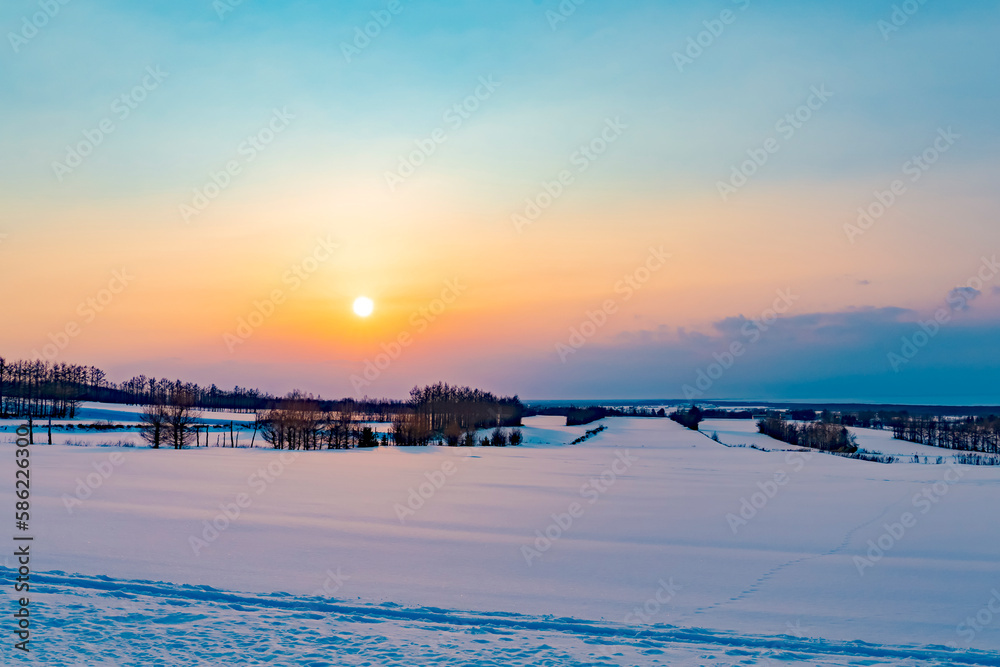 北海道知床斜里の雪原風景