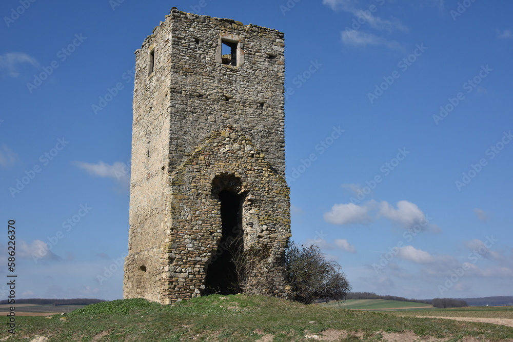 Ruine Heidenturm bei Kittsee, Burgenland, Österreich, 16.03.2023