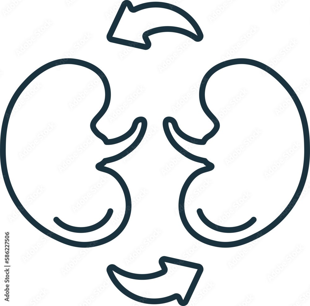 Kidney Transplant line icon. Element sign from transplantation collection. Flat Kidney Transplant outline icon sign for web design, infographics and more. Kidney Transplant line icon. Element sign from transplantation collection. Flat Kidney Transplant outline icon sign for web design, infographics and more.