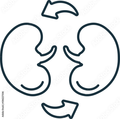 Kidney Transplant line icon. Element sign from transplantation collection. Flat Kidney Transplant outline icon sign for web design, infographics and more.