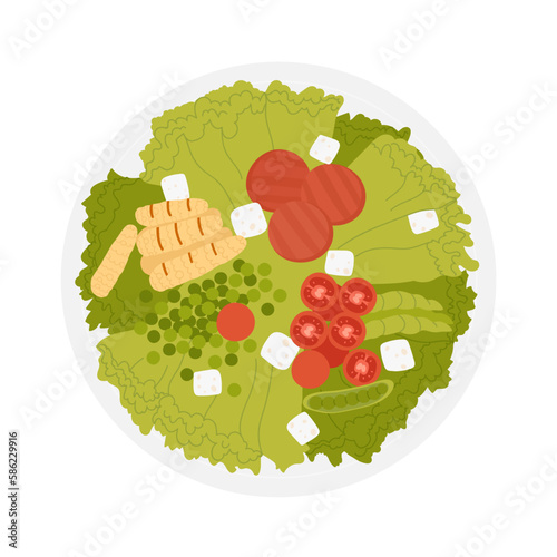 Healthy vegetable salad. Fresh veggie salad bowl, fitness lunch menu vector illustration