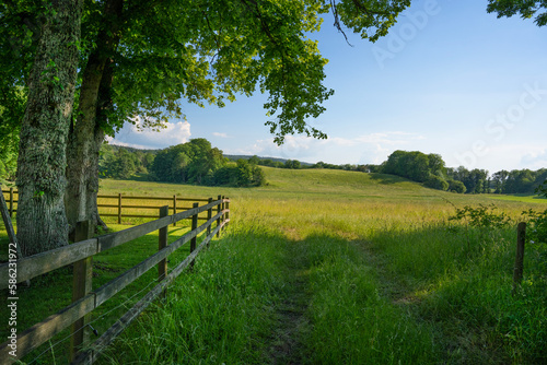 a view of a field