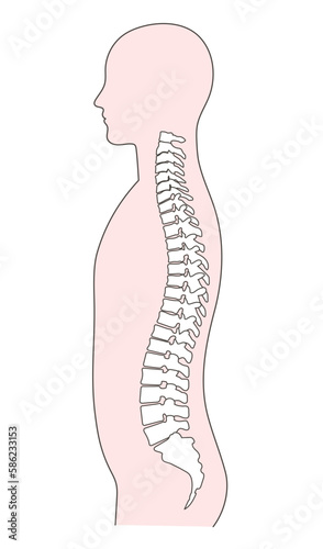 正常な背骨の人物イラスト