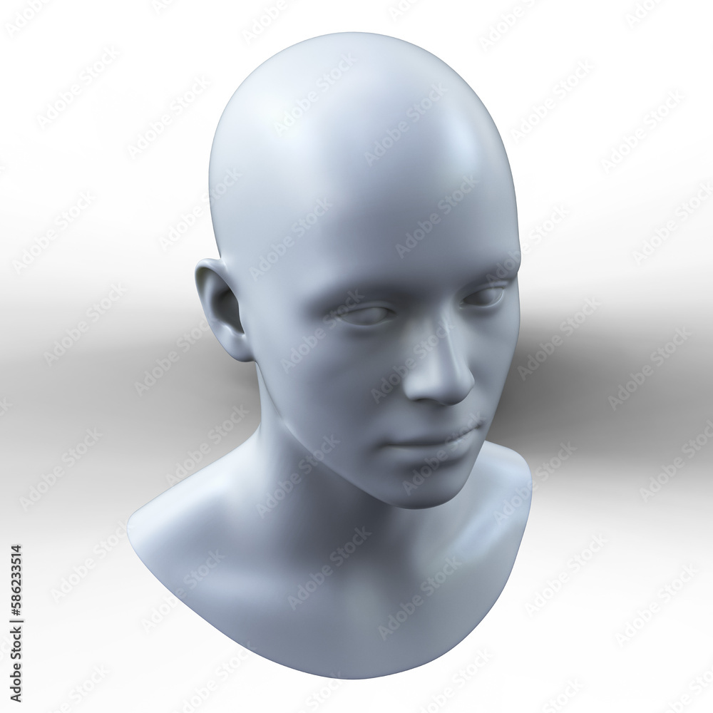 Human Head. Transparent background. 3D Rendering. Human Head. Transparent background. 3D Rendering.