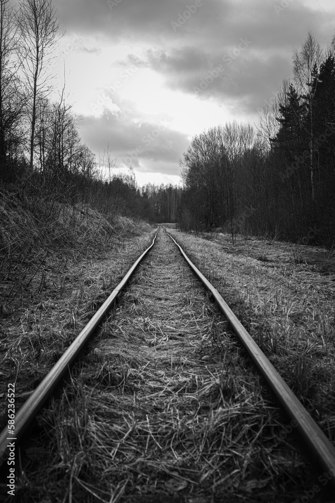 Old and abandoned railway tracks in the forest