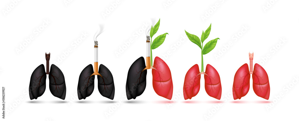 Tobacco on lungs black and Seedling with leaf green on lung red. Dangers of smoking effect people around and family. Icon 3d isolate on white background. Vector Illustration. World No Tobacco Day. Tobacco on lungs black and Seedling with leaf green on lung red. Dangers of smoking effect people around and family. Icon 3d isolate on white background. Vector Illustration. World No Tobacco Day.