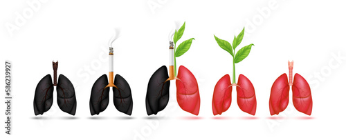 Tobacco on lungs black and Seedling with leaf green on lung red. Dangers of smoking effect people around and family. Icon 3d isolate on white background. Vector Illustration. World No Tobacco Day. 