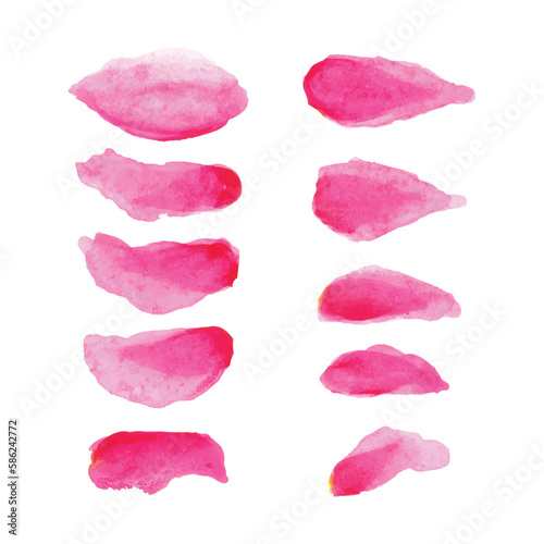 A set of pink floral petals with a white background. Flower petals collection